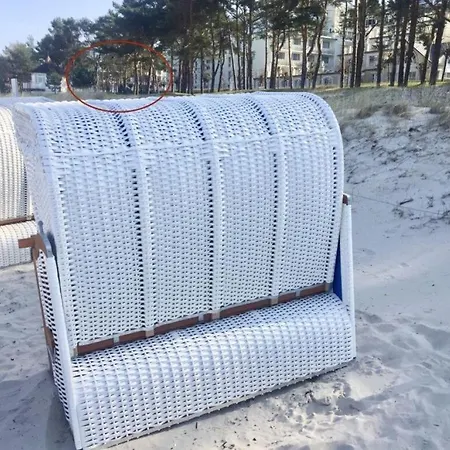 Vogue, Austernfischer Vakantiehuis *